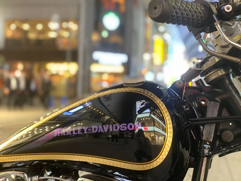 Harley-Davidson　ショベルヘッド　FLH80　